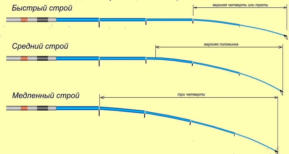 Схема оснастки фидерного удилища. Как определить быстрый Строй спиннинга. Строение фидерного удилища схема. Классификация Строй фидерного удилища. Строй fast