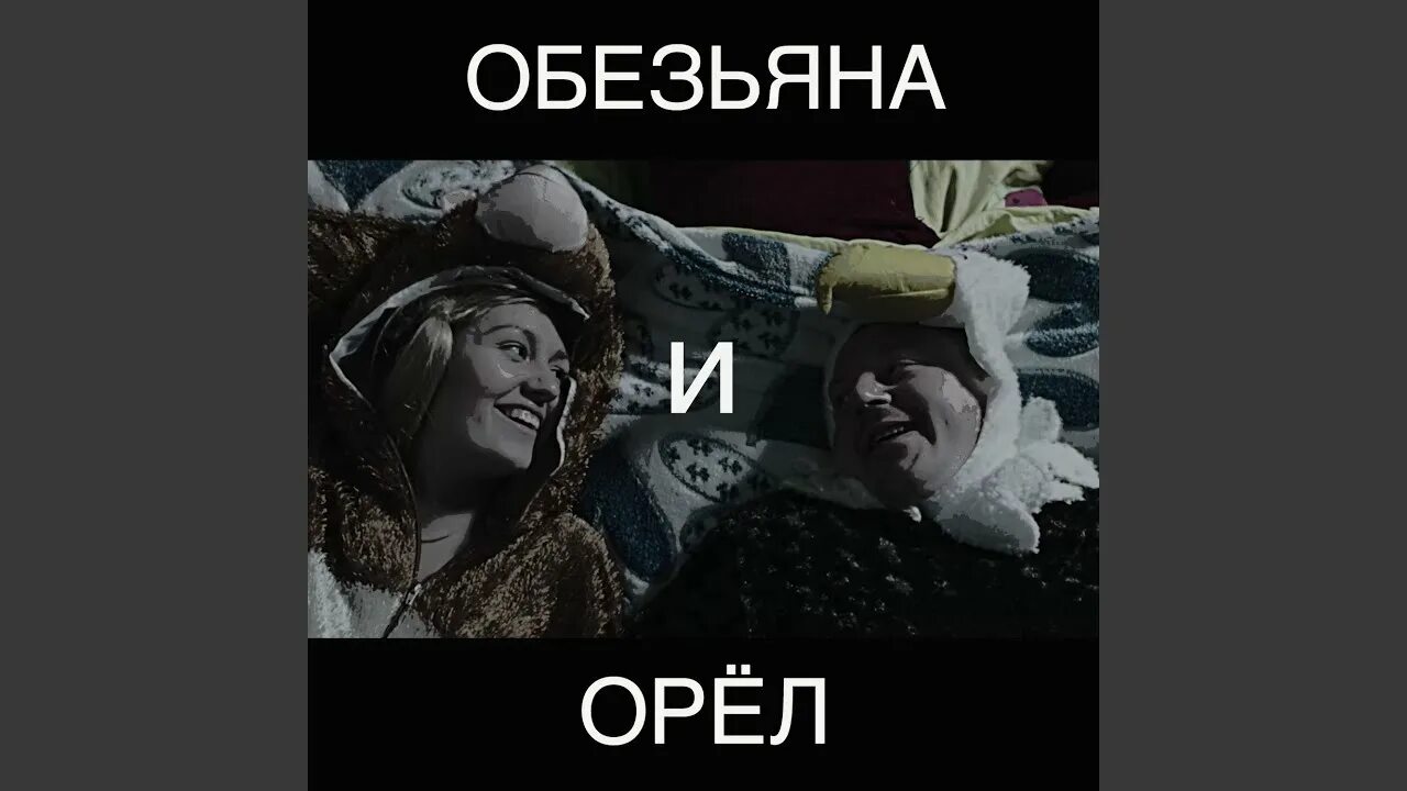 Шнур обезьянку песня. Шнур обезьянку песня