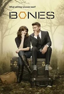 8 seasons