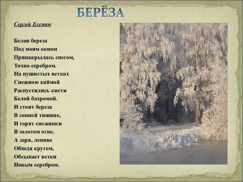 Лучше б снег да вьюгу встретить