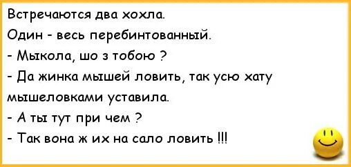 Анекдоты про Хохлов. Анекдот про хохла. Короткие анекдоты про Хохлов. Смешные шутки про украинцев.