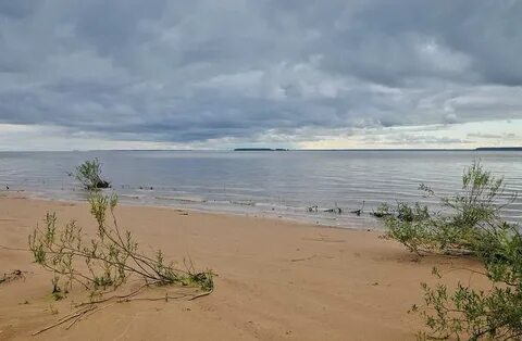 Рыбинское водохранилище летом