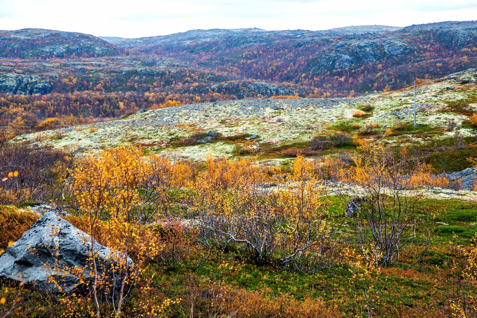 Река поной мурманской области. Рыбачий полуостров. Кольский полуостров природная зона тундра. Сейдозеро кольский полуостров. Охота на кольском полуострове.