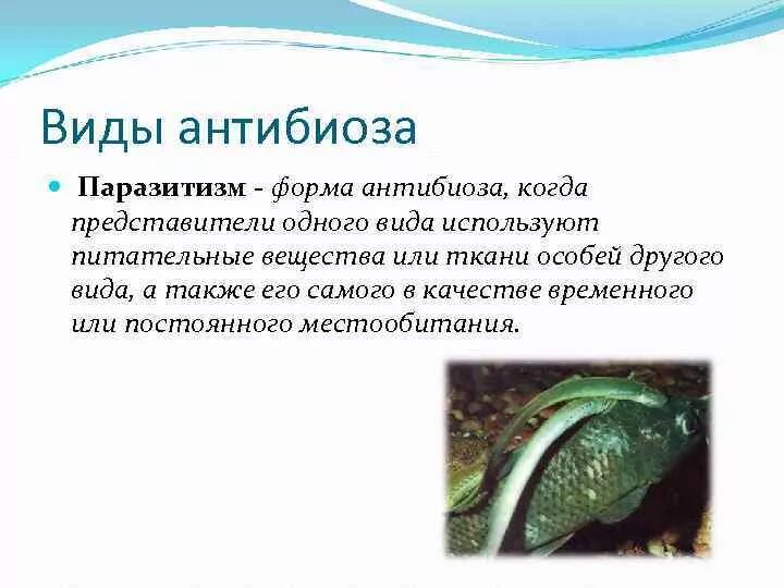 Типы паразитизма