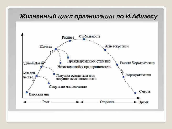 Стадии жизненного цикла компании по Адизесу. Жизненный цикл Адизеса схема. И. Адизес: “теория жизненных циклов организации” (1979).. Адизес стадии жизненного цикла.