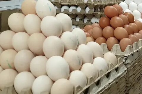 Почему стоит яйцо