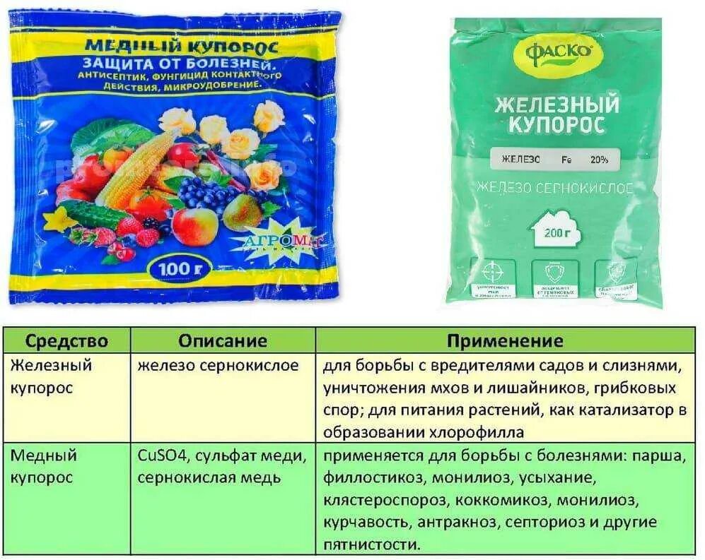 Как правильно приготовить медный купорос. Железный купорос фаско 200гр. медный купорос от вредителей. медный и железный купорос. железный купорос (сульфат железа) (200гр).