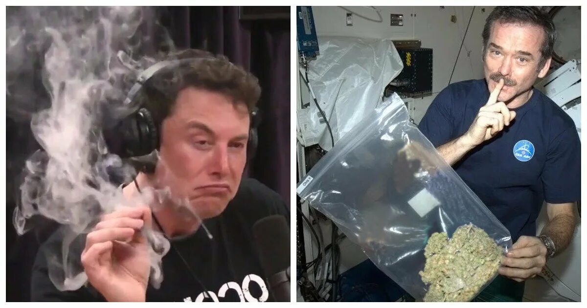 Мем курящий илон маск. Илон маск курит косяк. elon musk курит. элон маск с косяком. илон маск космонавт.
