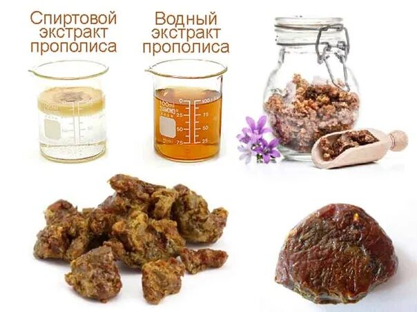 Прополис от зубной боли. Аир и прополис. экстракт прополиса от зубной боли. прополис от полипов.