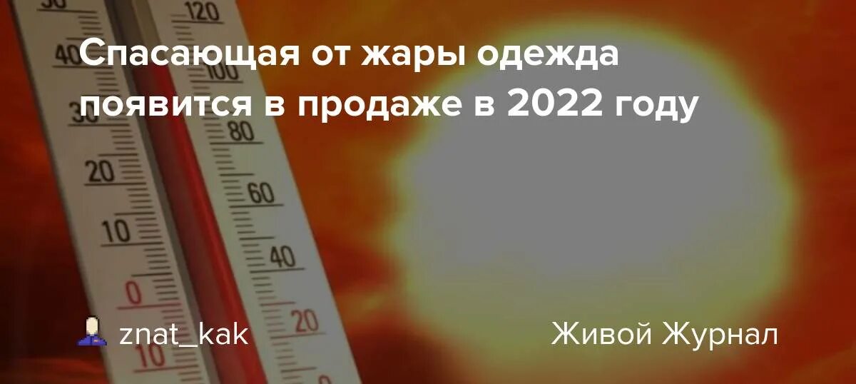 Выборы будут жаркими. Аномальная жара 2022 лето. Жара 32 градуса. Жаркое лето 2022. Жарко будет в 2022 году.