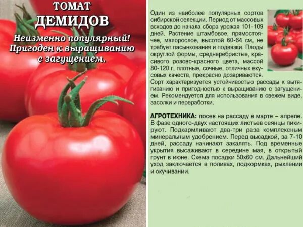 Томат сорт загадка урожайность. Сорт помидор Демидов. Томат Демидов семена Алтая описание сорта. Сорт Демидов томаты характеристика. Томат Демидов Сибирский сад.