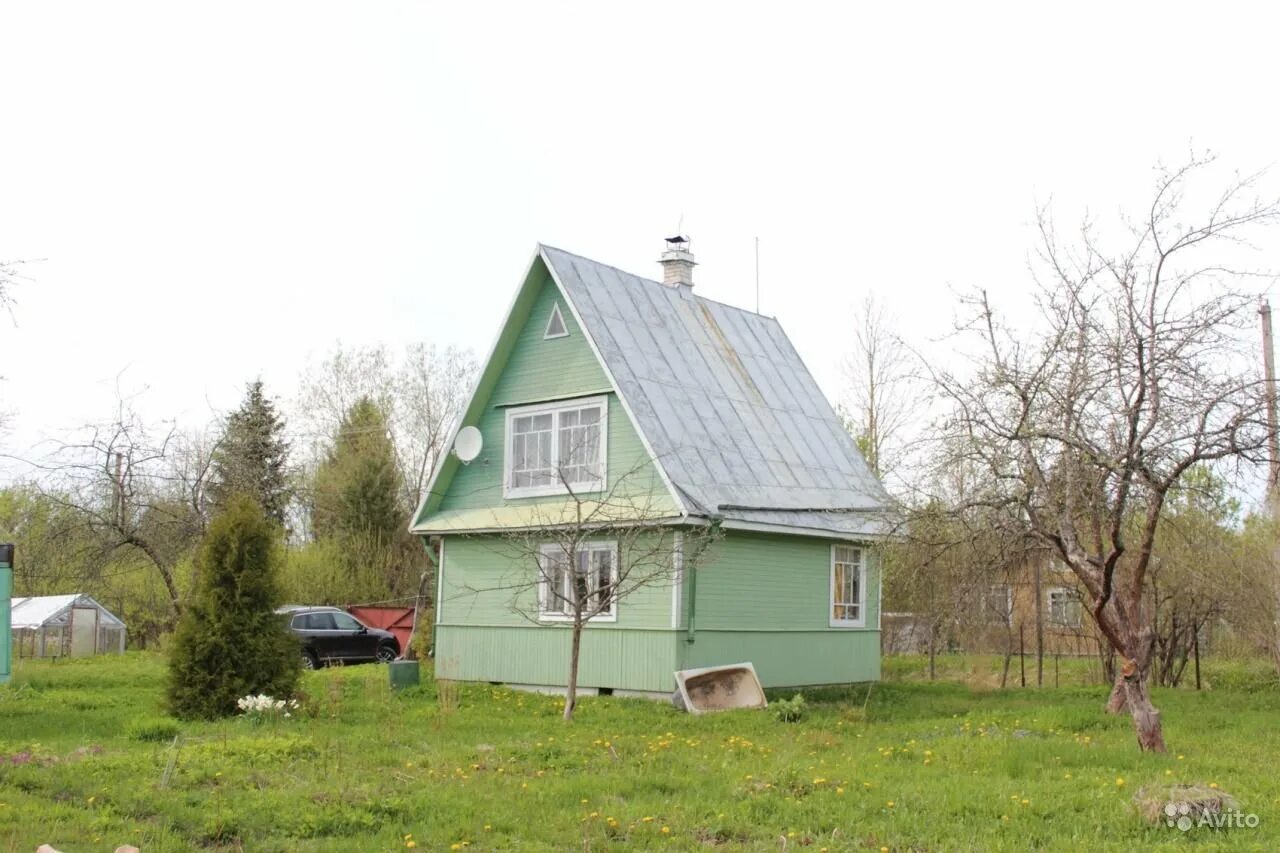 Ленинградская область волховский купить дом. Пупышево Ленинградская область. Пупышево (садоводческий массив). Садоводство Пупышево Ленинградская область. СНТ природа Пупышево.