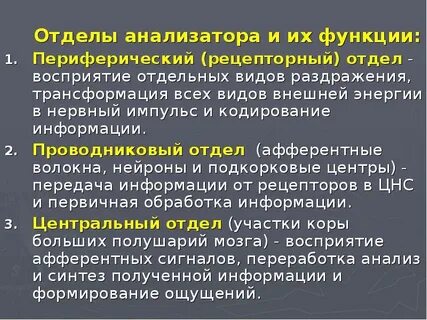 Роль центрального отдела