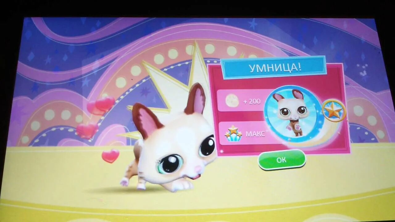 Littlest pet shop (video game). Петы в играх. Игра мой маленький зоомагазин. Игра мой маленький зоомагазин. Littlest pet shop игра 2012.