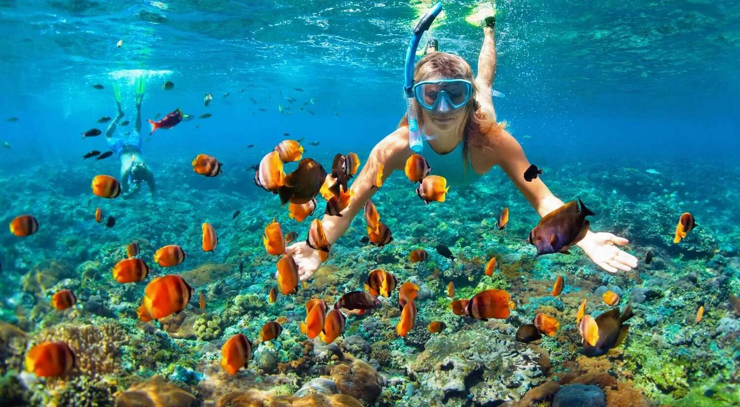 Reef tourism. Снорклинг Шарм Эль Шейх. Шарм-Эль-Шейх риф снорклинг. Египет риф снорклинг. Мальдивы дайвинг снорклинг.