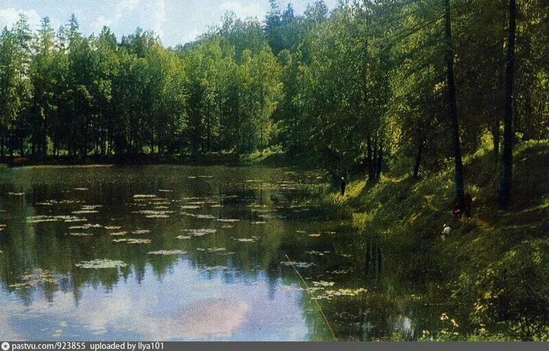 Солнечногорск санаторий мцыри. Поселок Мцыри усадьба Барский пруд. Пруд Мцыри Фирсановка. Мцыри Сходня. Усадьба Середниково, посёлок санатория Мцыри.