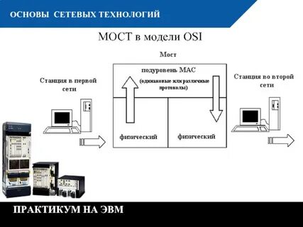 Сети эвм