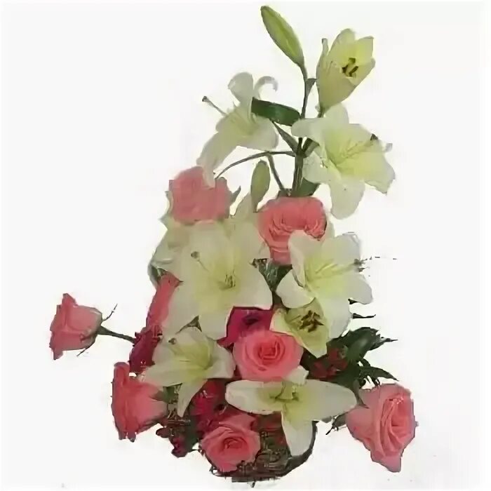 Domenika flowers. Domenika flowers