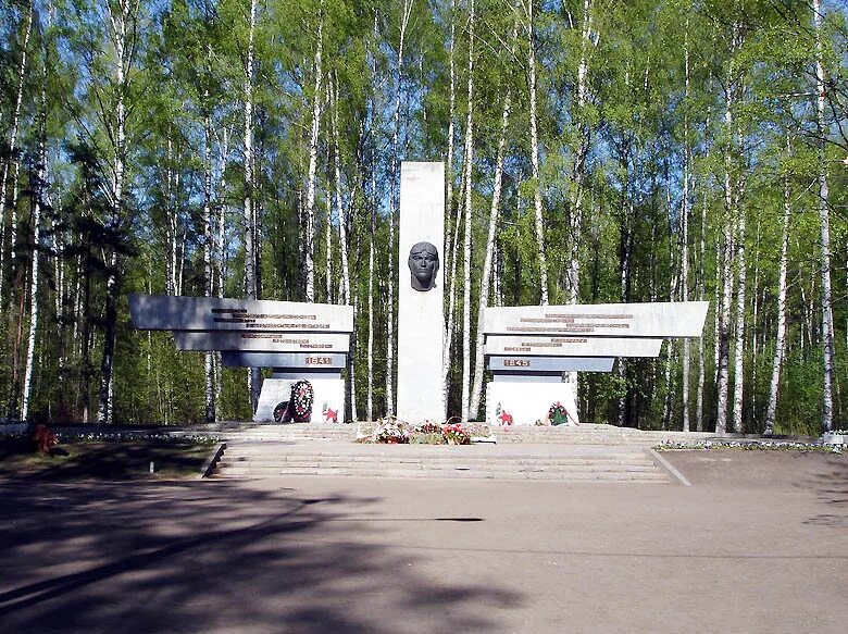 парк сосновка в санкт-петербурге. парк сосновка в санкт-петербурге памятники. село сосновка калининградская область. памятник летчикам в деревне богатково вышневолоцкий район. памятник военным лётчикам сосновка.