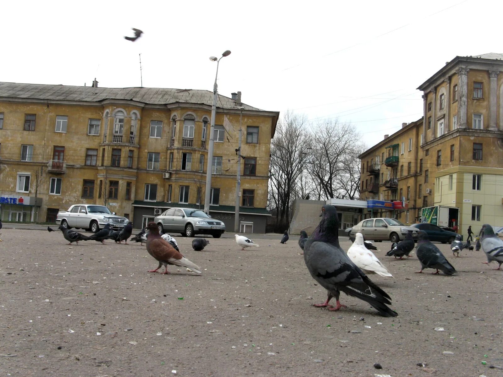 Улицы макеевки