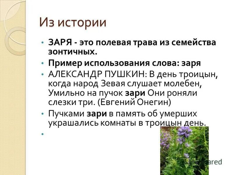 как приятно выехать весной до зари текст. топографический диктон. как приятно выехать весной до зари текст. гдз по русскому языку 10-11 класс. знаете ли вы например какое наслаждение выехать.