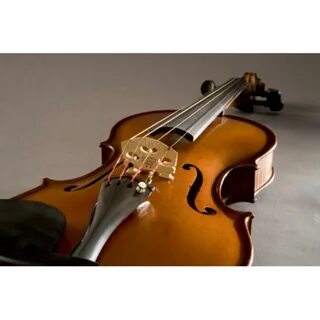 300 violin