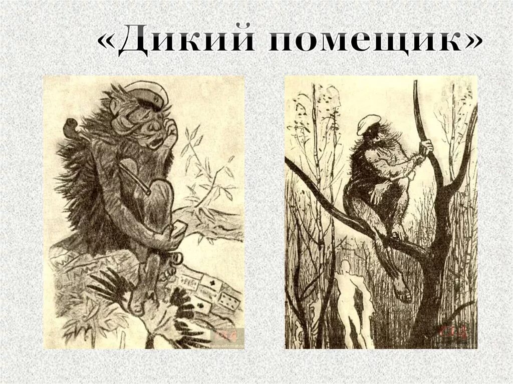 Щедрина дикий помещик слушать. Урус Кучум Кильдибаев дикий помещик. Сказка м е Салтыкова Щедрина дикий помещик. Иллюстрации дикий помещик Салтыков-Щедрин Рачев.