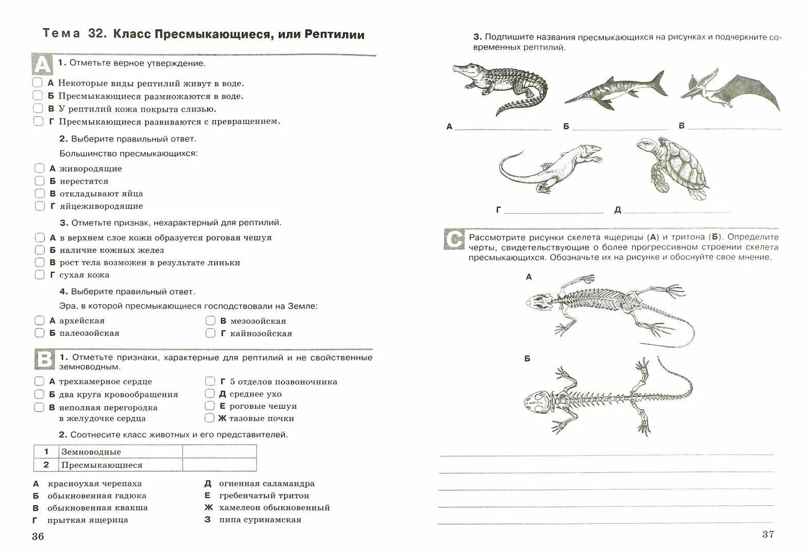 Класс пресмыкающиеся 8 класс биология тест. Пресмыкающиеся 7 класс биология задания. Контрольная работа по биологии 8 земноводные и пресмыкающиеся. Карточки по теме пресмыкающиеся 7 класс биология.
