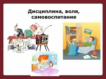Зачем нужна дисциплина обществознание 7 класс