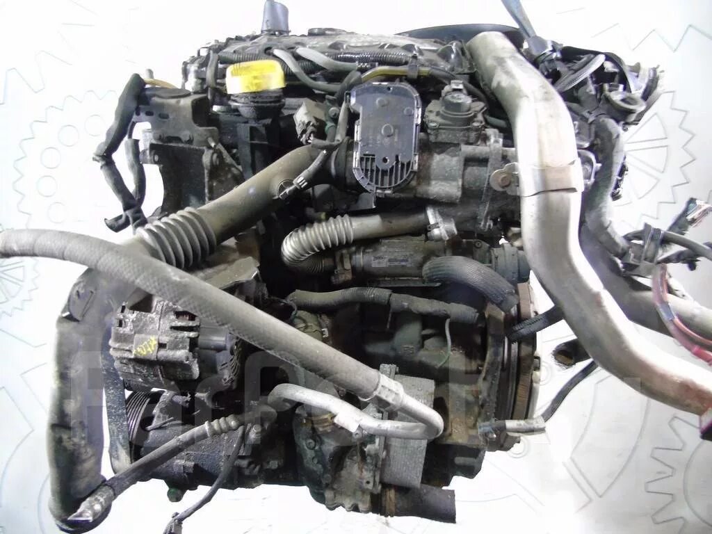 2. 9 дизель f8q. 5 dci 106 л. F9q двигатель рено. 9 дизель.