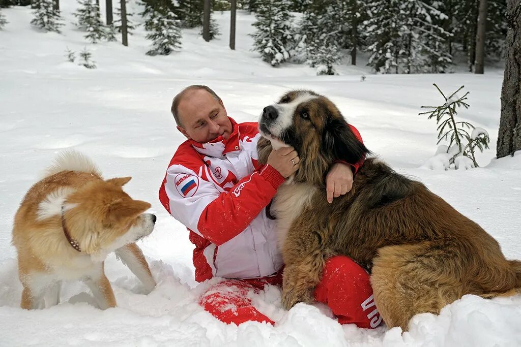 Какого щенка подарили