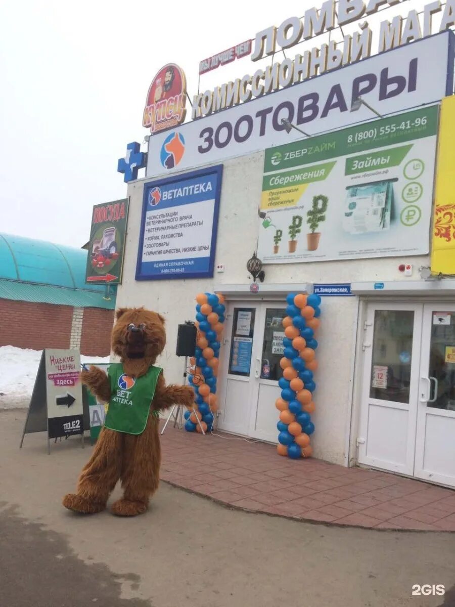 запорожская улица в чапаевске. запорожская 28 чапаевск. запорожская 18а чапаевск. аптека вита чапаевск. запорожская улица в чапаевске.