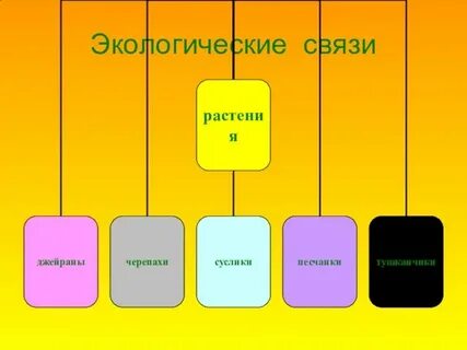 Экологические связи в степи
