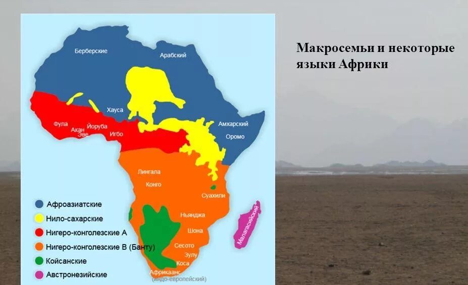 Языков в африке. Гос язык африки на карте. Нигеро-конголезская языковая семья карта. Языковая карта африки. Карта языковых семей африки.