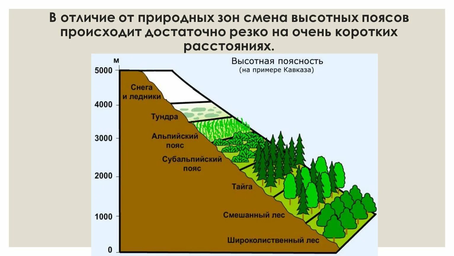 Природные зоны России Высотная поясность. Субтропики Высотная поясность. Широтная зональность Выстоной полярности. Высотная поясность географический пояс.