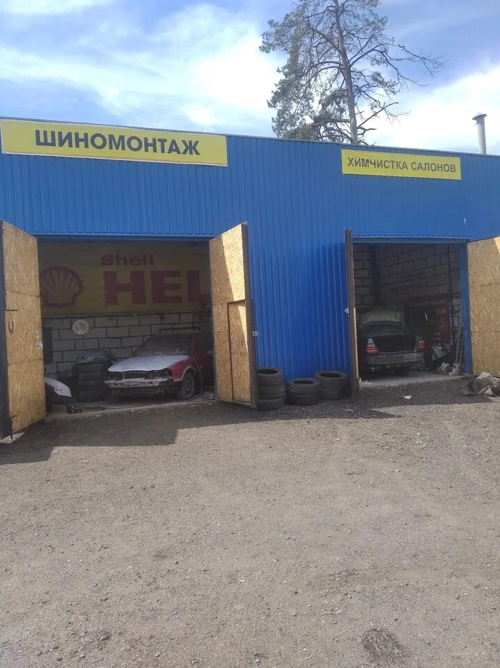 Evo коврики тойота корона ат 190. Химчистка бобруйск. Химчистка бобруйск. Лого чистка ковров и мебели. Могилев химчистка.