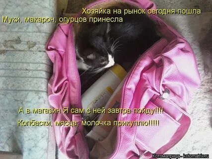 Она магазин пошла