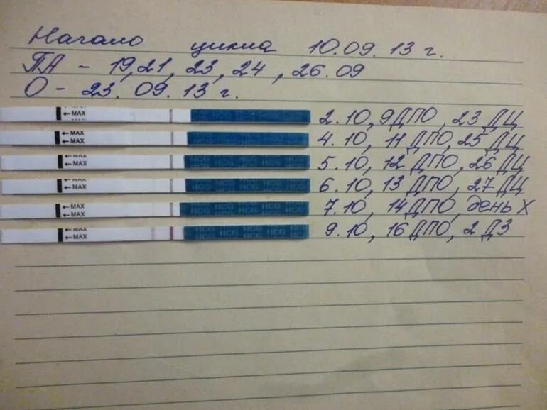 Покажет ли тест на беременность до задержки за 2 дня. Тесты по дням цикла на беременность до задержки. Тест на беременность 1 день задержки. Тест на беременность до задержки 2 дня покажет ли