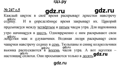 Упр 247 по русскому языку 4 класс