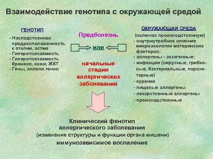 Наследственные и средовые факторы. Взаимодействие генотипа и среды. Влияние на генотип. Факторы, влияющие на процесс реализации генотипа в фенотип.. Влияние генотипа и среды на развитие признака.