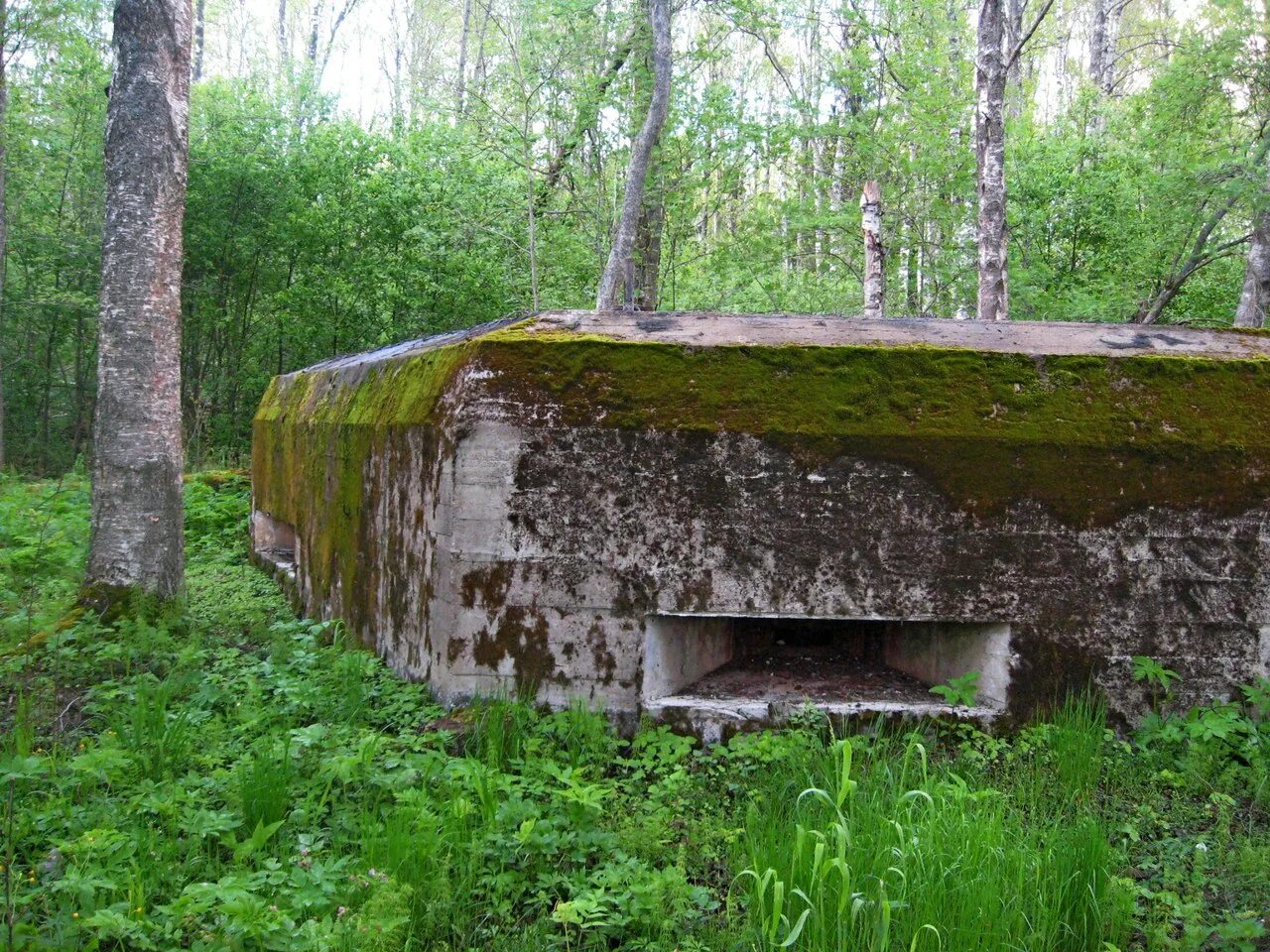 Нп 54