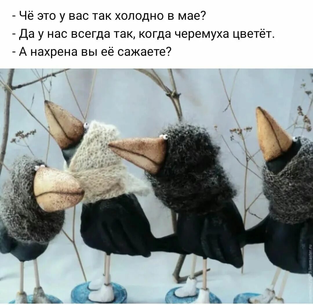 Так было и так будет всегда 3. Грачи прилетели и обалдели. холодно в мае. че это у вас так холодно в мае. приколы про холод.