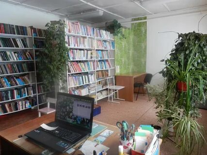 Библиотека деревня