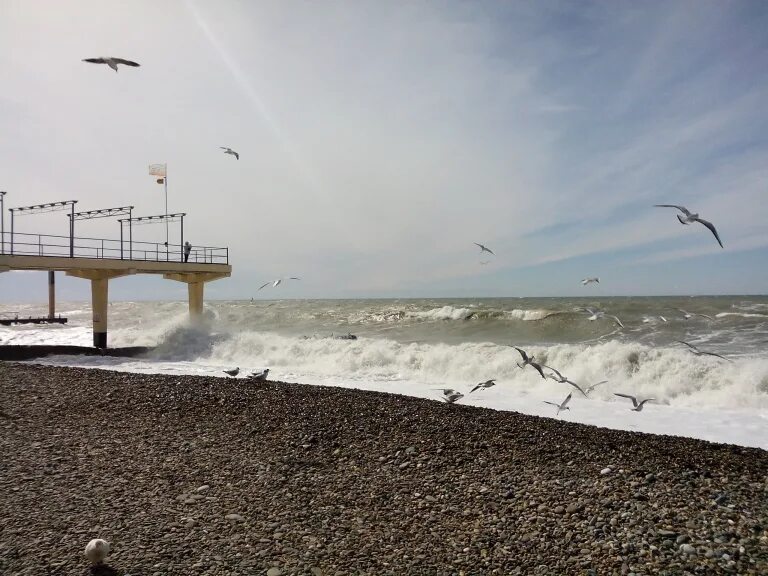 Волноломы в сочи. Кабардинка волнорезы. Волнорезы в адлере. Волнорезы адлер. Волнорезы в адлере.