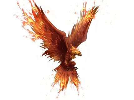 Phoenix kai