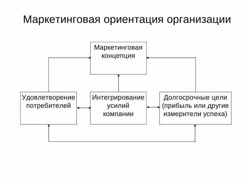 Управление маркетингом и потребители. Ориентации маркетинга. Маркетинговая ориентация. Маркетинг ориентированный организация. Маркетингово-ориентированная компания.