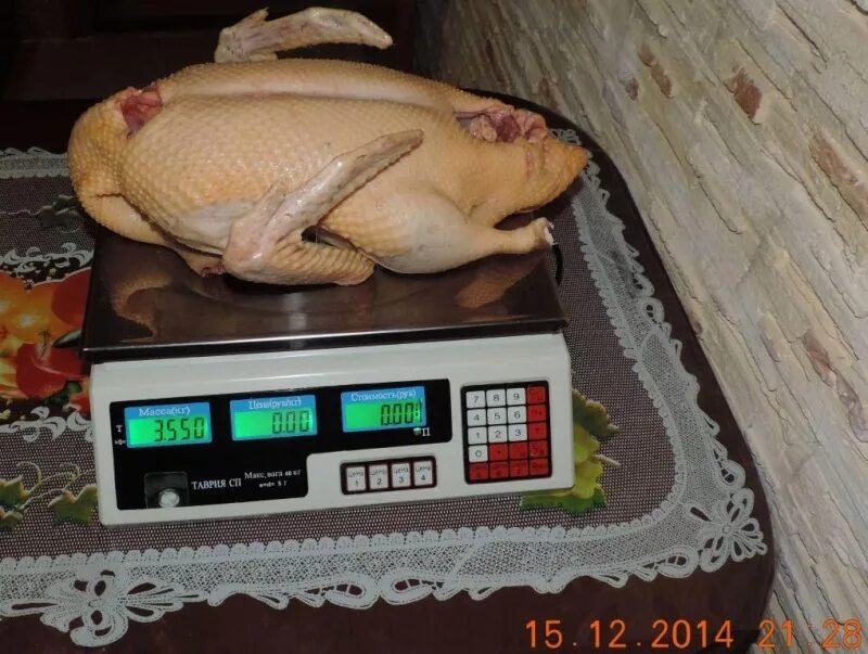 средний вес гуся домашнего. описание утки. вес уток стар 53. таблица набора веса мулардов. таблица роста и веса бройлеров кобб 500 по дням.