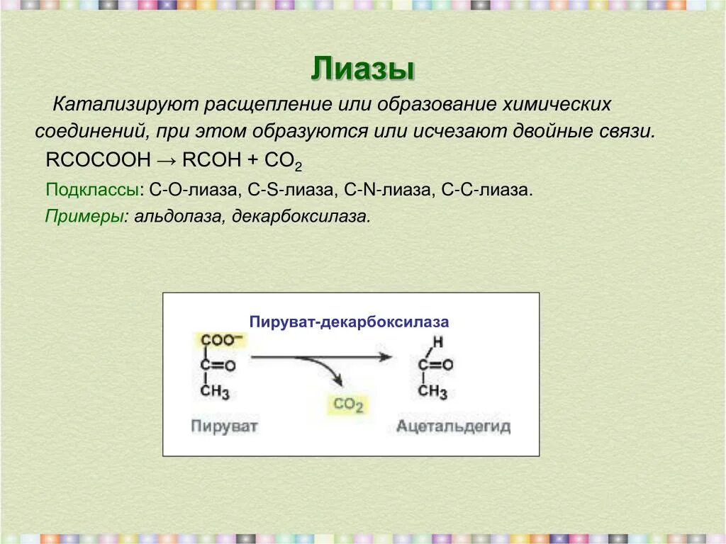 ЛИАЗЫ биохимия подклассы. Реакция катализируемая ферментами класса ЛИАЗЫ. ЛИАЗЫ коферменты. ЛИАЗЫ класс ферментов. Расщепляет биополимеры