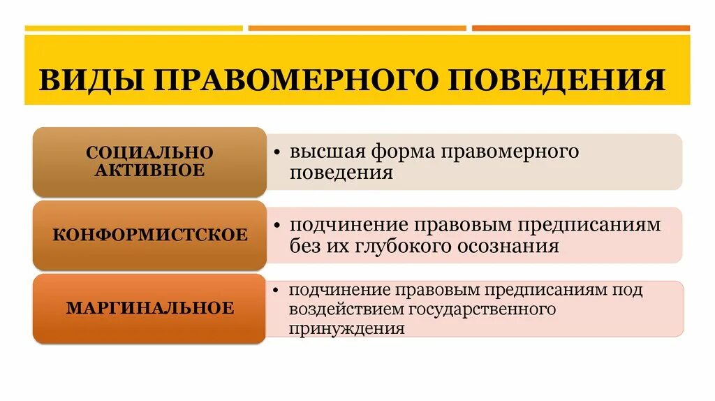 Социально правовые модели. Типы правомерного поведения. Социально активное правомерное поведение. Виды повомерногоповедения.