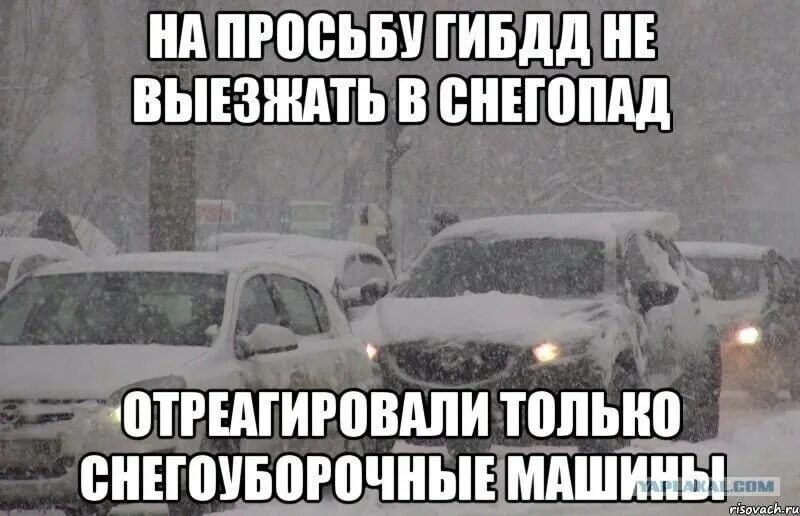 Спроси у статус автомобиля. На просьбу не выезжать в снегопад отреагировали только. Приколы про снегопад. Шутки про снегопад. Шутки про снег.